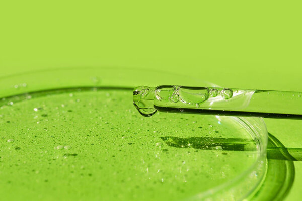 Dropper pipette with serum or cosmetic liquid and petri dish on green background. Transparent container with liquid and bubbles. The appearance of the texture of the gel. Medicine and beauty concept.