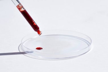 Serumlu damlalık pipeti ya da beyaz arka planda kırmızı sıvı ve petri kabı. İçi sıvı ve kabarcıklarla dolu şeffaf bir kap. Jel dokusunun görünüşü. Tıp ve güzellik konsepti.