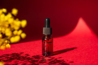 Kehribar şişesi ve damlatan pipetle serum ya da güzel çiçekler ve gölgelerle gerekli yağ. Kırmızı arka plan, gün ışığı ve güzel gölgeler. Yüz ve vücut bakımı için güzellik konsepti