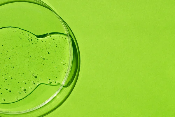 Petri Dish Serum Cosmetic Liquid Green Background Transparent Container Water — Stok fotoğraf