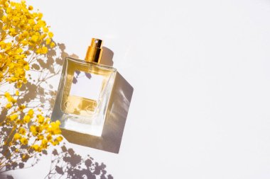 Transparent bottle of perfume with label on white background. Fragrance presentation with daylight. Trending concept in natural materials with yellow field flowers. Women's and men's essence.