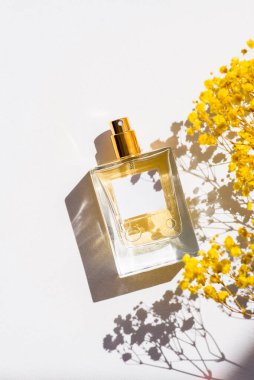 Transparent bottle of perfume with label on white background. Fragrance presentation with daylight. Trending concept in natural materials with yellow field flowers. Women's and men's essence.