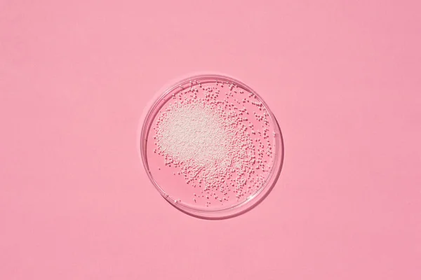 粉红背景上有白色颗粒的培养皿 透明的容器 化妆品的质地 医学与美的概念 实验室用医用玻璃器皿 — 图库照片