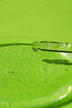 Yeşil arka planda serumlu ya da kozmetik sıvılı damla pipeti ve petri kabı. İçi sıvı ve kabarcıklarla dolu şeffaf bir kap. Jel dokusunun görünüşü. Tıp ve güzellik konsepti.