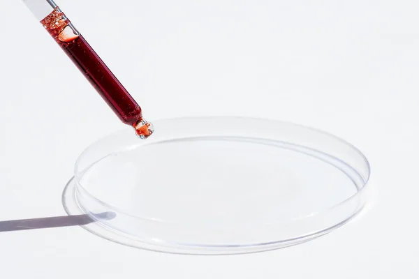 Dropper pipette with serum or red liquid and petri dish on white background. Transparent container with liquid and bubbles. The appearance of the texture of the gel. Medicine and beauty concept.