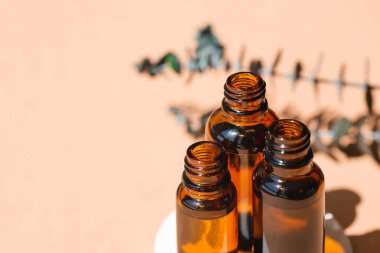 Kehribar şişesini okaliptüs dallı kapaksız açın. Bej arka plan, gün ışığı ve güzel gölgeler. Cilt serumu ya da doğal yağ kozmetiği. Yüz ve vücut bakımı için güzellik konsepti