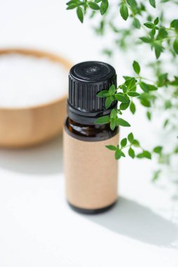 Kehribar şişesinde kekik yağı var. Beyaz arka plan, gün ışığı ve güzel gölgeler. Cilt bakım ürünleri, doğal kozmetik ürünleri. Yüz ve vücut bakımı için güzellik konsepti