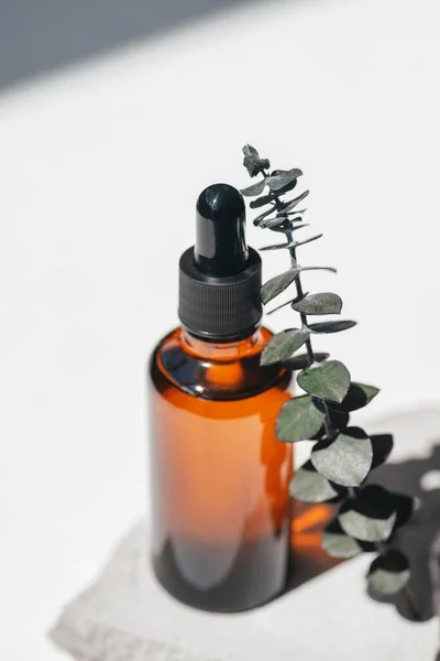 Amber bottle with dropper pipette and serum or essential oil on grey concrete podium with eucalyptus branches. White background with daylight. Beauty concept for face and body care