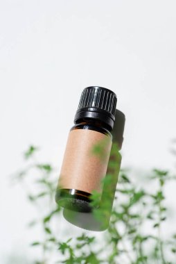 Kehribar şişesinde kekik yağı var. Beyaz arka plan, gün ışığı ve güzel gölgeler. Cilt bakım ürünleri, doğal kozmetik ürünleri. Yüz ve vücut bakımı için güzellik konsepti