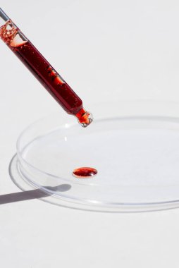 Serumlu damlalık pipeti ya da beyaz arka planda kırmızı sıvı ve petri kabı. İçi sıvı ve kabarcıklarla dolu şeffaf bir kap. Jel dokusunun görünüşü. Tıp ve güzellik konsepti.