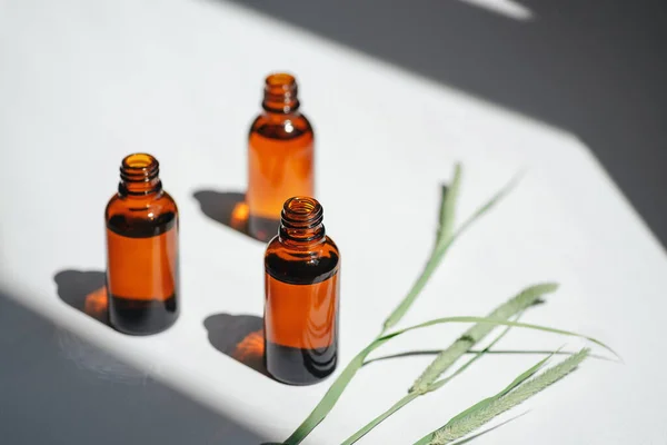 Open amber bottle with serum or essential oil with wild field grass. White background with daylight and beautiful shadows. Beauty concept for face and body care