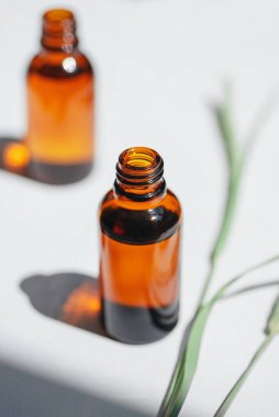 Kehribar şişesini serumla mı açayım yoksa yabani otlarla mı? Beyaz arka plan, gün ışığı ve güzel gölgeler. Yüz ve vücut bakımı için güzellik konsepti