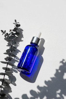 Blue dropper bottle filled serum, tonic or essential oil with eucalyptus branches. White background with daylight with beautiful shadows. Beauty concept for face and body care