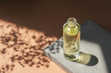 Open transparent bottle with dropper pipette with serum or essential oil and flowers shadows. Bottle on grey concrete podium for product presentation. Skincare cosmetic with wildflowers. Beauty concept