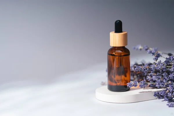 Amber dropper bottle with serum, tonic or essential oil on grey concrete podium. Grey background with lavender flowers. Beauty concept for face and body care