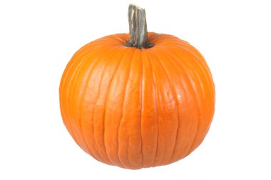 Isolated Pumpkin clipart
