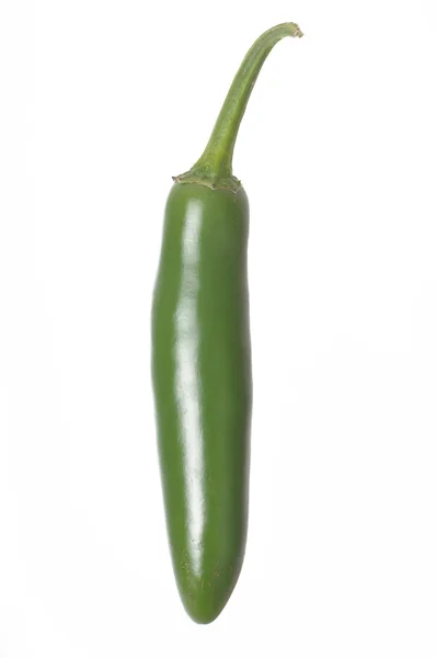 Isolerade serrano pepper — Stockfoto
