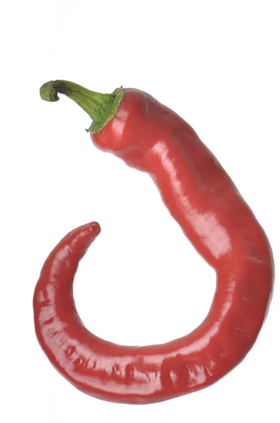 Poivre de Cayenne isolé — Photo