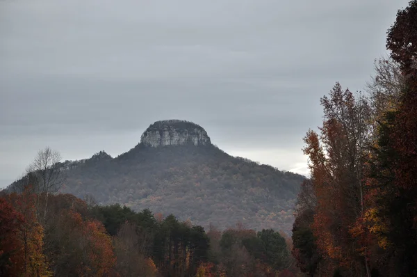 Pilot Mountain — Stockfoto