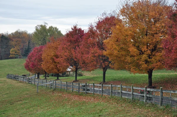 North Carolina Mountain Farm in Autumn — Stock Photo, Image