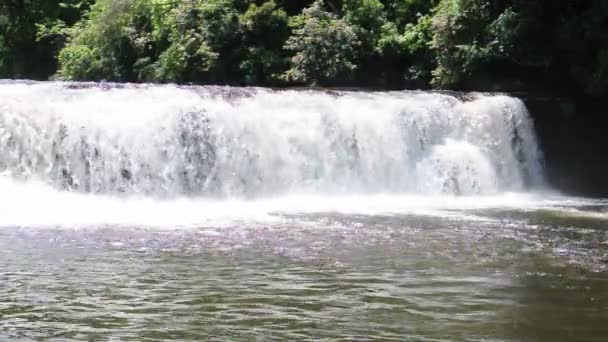 Fahişe falls, dupont devlet orman — Stok video