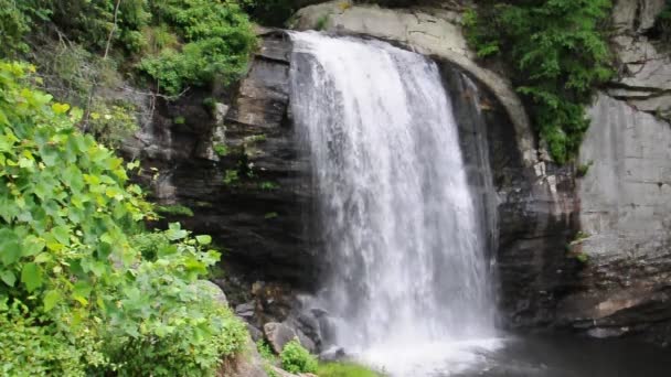 Looking Glass Falls — Stock Video