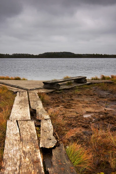 Timber road, bench and lake in marsh — Stock Photo, Image