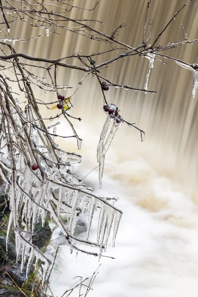 Icicli e un muro di cascata — Foto Stock