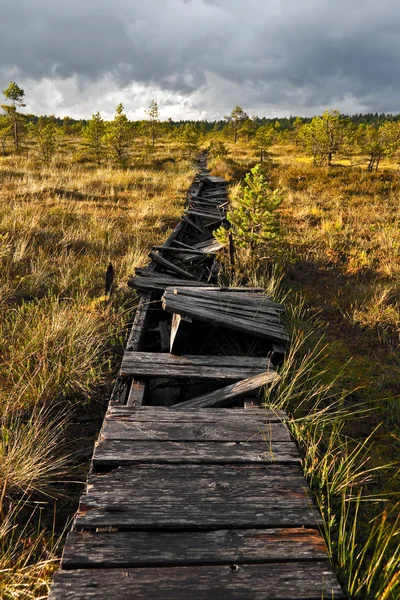 Passerella rotta in una palude in Estonia — Foto Stock