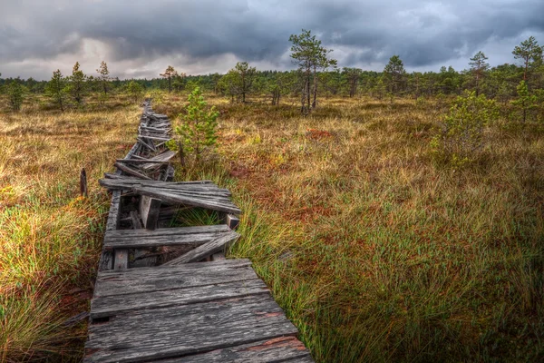 Pasarela rota en un pantano en Estonia — Foto de Stock