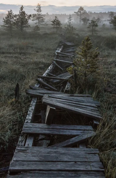 Camino roto en un pantano en la noche oscura — Foto de Stock