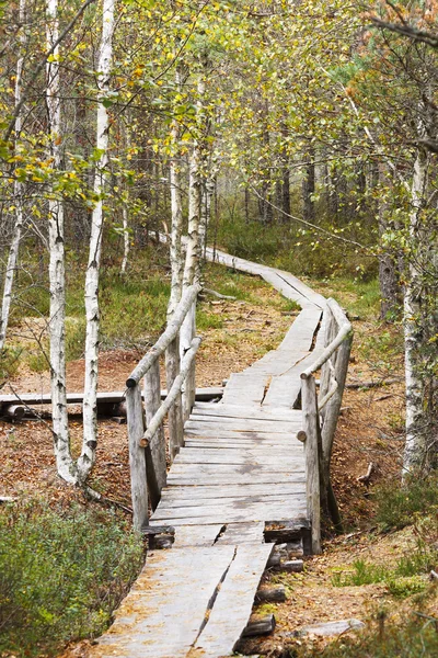 Dřevěný most v lese na podzim — Stock fotografie