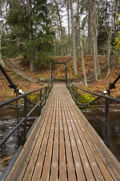 Puente de cadena sobre río en bosque — Foto de Stock