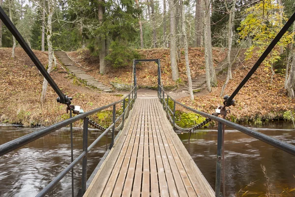 Цепной мост через реку в лесу — стоковое фото