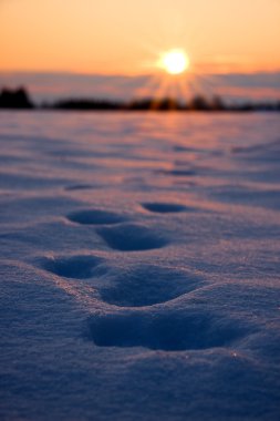 gün batımında kalın karda ayak izleri