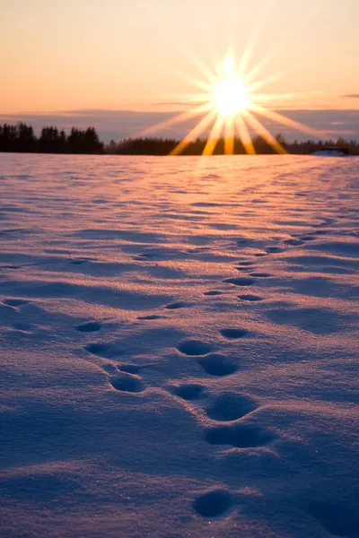 Noha se tiskne tlusté sněhu při západu slunce sice svítí slunce — Stock fotografie