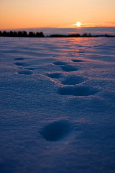 Voetafdrukken in dik sneeuw bij zonsondergang — Stockfoto