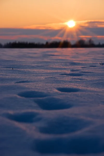 Pegadas em neve grossa ao pôr-do-sol — Fotografia de Stock