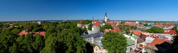 Panorama van de grote stad van tallinn, Estland — Stockfoto