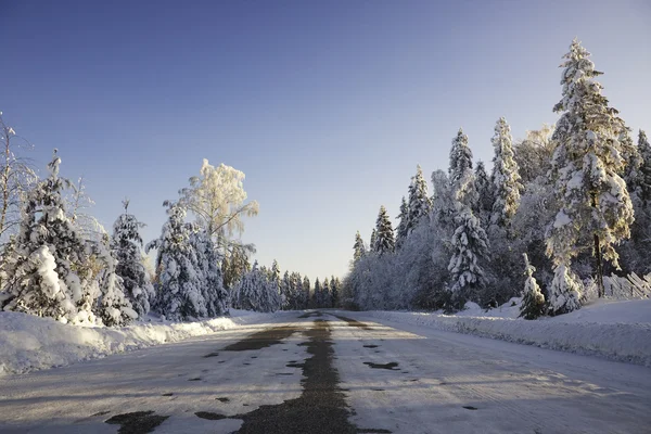 Estrada nevada e gelada entre a floresta — Fotografia de Stock