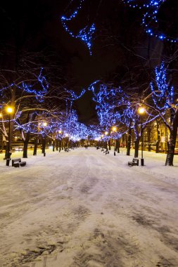 karlı avenue ve Noel ışıkları