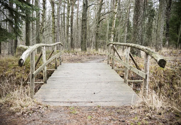 Старый деревянный мост в лесу — стоковое фото