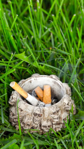 Пепельница с концами сигарет на траве — стоковое фото