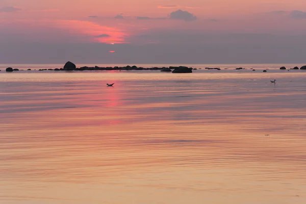 핑 키 sunsetat 바다 — 스톡 사진