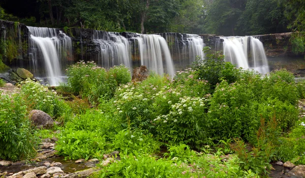 Cachoeira na Estónia — Fotografia de Stock