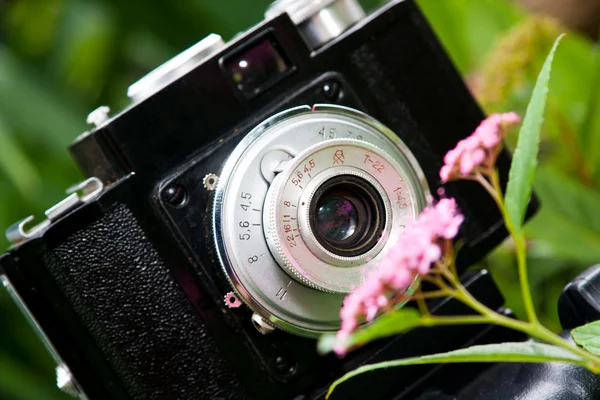 Klassische Slr-Kamera und Blume — Stockfoto