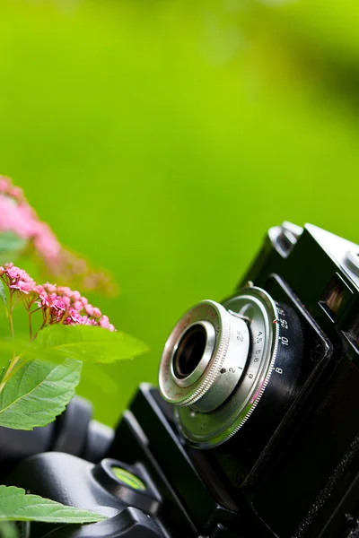 Cameră clasică SLR și floare — Fotografie, imagine de stoc