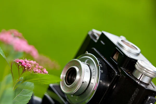 Clásica cámara SLR y flor — Foto de Stock