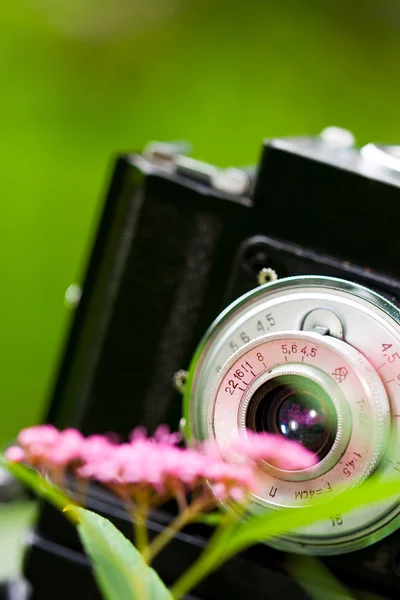 Clásica cámara SLR y flor — Foto de Stock