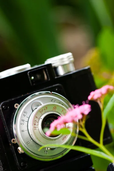 Clásica cámara SLR y flor — Foto de Stock